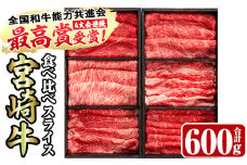 ＜宮崎牛・3D冷凍＞6部位食べ比べスライス(合計600g)牛肉 肩 ロース バラ モモ バラ ヒレ すき焼き しゃぶしゃぶ 鍋 精肉 お肉 お取り寄せ 黒毛和牛 ブランド和牛 冷凍 国産【R-26】【ミヤチク】