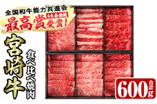 ＜宮崎牛・3D冷凍＞6部位食べ比べ焼肉(合計600g)牛肉 肉 ロース バラ モモ ヒレ ウデ セット 黒毛和牛 BBQ 国産 冷凍 宮崎県 門川町【R-27】【株式会社ミヤチク】