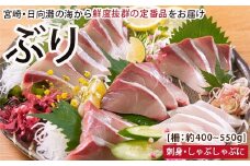【北海道・離島配送不可】日向灘ぶりのお刺身(約400～550g)魚介 魚 旬 海鮮 ブリ 鰤 ぶり柵 刺身 しゃぶしゃぶ 冷蔵 宮崎県 門川町【UZ-03】【請関水産】
