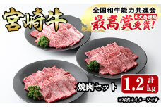 宮崎牛焼肉セット(合計1.2kg・ウデ焼肉400g、モモ焼肉400g、バラ焼肉400g)国産 九州産 宮崎県産 牛肉 黒毛和牛 和牛 焼き肉 霜降り 食べ比べ セット 冷凍 バーベキュー【R-55】【ミヤチク】