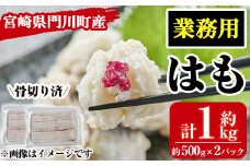 ＜訳あり・業務用＞加熱用はも(計約1kg・約500g×2パック)魚介 国産 ハモ 鱧 湯引き 天ぷら しゃぶしゃぶ 骨切り済 宮崎県 門川町【MR-2】【株式会社マルユウ水産】
