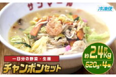 チャンポンセット(計約2.4kg・620g×4個)ちゃんぽん 麺 スープ 野菜 具沢山 冷凍 国産 小分け おかず 惣菜 簡単調理【TG-3】【サンクスギビング】
