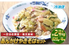 あんかけやきそばセット(計約2.4kg・620g×4個)麺 焼きそば 野菜 冷凍 小分け 国産 おかず 惣菜 簡単調理【TG-4】【サンクスギビング】