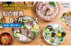 【北海道・離島配送不可】＜定期便・全6回(連続)＞旬の鮮魚(6ヶ月コース)お刺身 お刺し身 魚介 海鮮 漬け丼 ブリ ぶり ヒラメ 真鯛 シマアジ カンパチ お楽しみ【UZ-10】【請関水産】