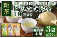 【令和7年度産・新茶】摘みたて緑茶3種セット「初摘み深蒸し煎茶・初摘み深蒸し玉緑茶・初摘み煎茶」(合計300g・各100g)お茶 茶葉 玉緑茶 深蒸し茶 飲み比べ 常温 保存【AA-14】【鹿島園本舗】
