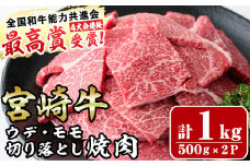 宮崎牛ウデ・モモ切り落とし焼肉(計1kg)牛肉 うで もも 肉 BBQ 精肉 お取り寄せ 黒毛和牛 ブランド和牛 冷凍 国産【R-71】【ミヤチク】