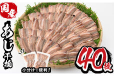 九州産あじ干物(5枚×8P・計40枚)ひもの 魚 さかな 鯵 アジ おかず 肴 おつまみ 簡単 時短 おかず お弁当 国産 冷凍 宮崎県 門川町【AW-9】【丸正水産】