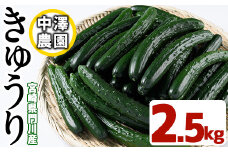 宮崎県産きゅうり(2.5kg)野菜 やさい サラダ 胡瓜 漬物 キムチ 冷蔵【NS-2】【中澤農園】