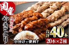 国産 焼き鳥 甘たれ もも皮串・うま塩もも串 セット(合計40本・20本×2種)鶏肉 もも肉 焼鳥 小分け 便利 冷凍 バーベキュー 惣菜 おかず おつまみ 柚子胡椒付き【V-33】【味鶏フーズ】