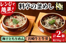 料亭の釜めし・極＜宮崎牛と牛蒡＞＜梅干しとちりめん＞(2種各1個)釜飯 惣菜 時短 お取り寄せ グルメ 詰め合わせ セット 冷凍【TW-3】【魚甚閣 常若】
