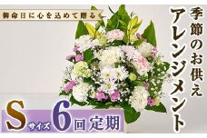 ＜定期便・6回(連続)＞季節のお供え用アレンジメント(生花：Sサイズ)生花 お花 花束 フラワー 植物 お供え 供花 仏花 命日 仏事 法事 贈り物【FM-21】【フラワーショップまつだ】
