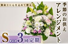 ＜定期便・3回(連続)＞季節のお供え用アレンジメント(生花：Sサイズ)生花 お花 花束 フラワー 植物 お供え 供花 仏花 命日 仏事 法事 贈り物【FM-20】【フラワーショップまつだ】