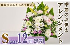 ＜定期便・12回(連続)＞季節のお供え用アレンジメント(生花：Sサイズ)生花 お花 花束 フラワー 植物 お供え 供花 仏花 命日 仏事 法事 贈り物【FM-22】【フラワーショップまつだ】