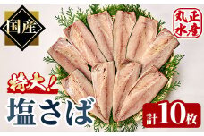 特大塩さば(10枚) 鯖 サバ 焼き魚 簡単 時短 おかず お弁当 国産 冷凍 宮崎県 門川町【AW-35】【丸正水産】
