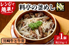 料亭の釜めし・極＜宮崎牛と牛蒡＞（250g×1個）釜飯 料亭 惣菜 時短 お取り寄せ グルメ 冷凍 レンジアップ【TW-4】【魚甚閣 常若】