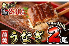 うなぎ 蒲焼 (計約460g・約230g×2尾・山椒、タレ付き) 鰻 さんしょう 冷凍 かば焼き うな重 うな丼 ひつまぶし 小分け 土用 丑の日 中国産【AW-61】【丸正水産】