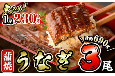 うなぎ 蒲焼 (計約690g・約230g×3尾・山椒、タレ付き) 鰻 さんしょう 冷凍 かば焼き うな重 うな丼 ひつまぶし 小分け 土用 丑の日 中国産【AW-62】【丸正水産】