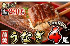 うなぎ 蒲焼 (計約920g・約230g×4尾・山椒、タレ付き) 鰻 さんしょう 冷凍 かば焼き うな重 うな丼 ひつまぶし 小分け 土用 丑の日 中国産【AW-63】【丸正水産】