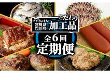 ＜定期便・全6回(連続)＞さかなのまち 門川 こだわり 定期便 (特大 あじ 開き・味付け すりみ 2種・宮崎牛 入り ハンバーグ・訳あり サバ 切身・中国産 うなぎ 蒲焼・訳あり からすみ)アジ さば おかず 惣菜 骨とり 宮崎県 門川町【AW-65】【丸正水産】