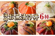 海鮮 お魚漬け丼 食べ比べセット(6種) ぶり 真鯛 カンパチ マグロ サーモン カツオのタタキ 食べ比べ セット 簡単 便利 小分け 個包装 まだい 鰤 鮪 鰹 お取り寄せ 海鮮丼 時短 【UZ-12】【請関水産】