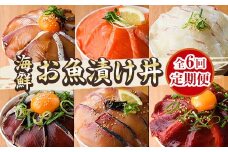 ＜定期便・全6回(連続)＞海鮮 お魚漬け丼 ぶり 真鯛 カンパチ マグロ サーモン カツオのタタキ 定期便 食べ比べ セット 簡単 便利 小分け 個包装 まだい 鰤 鮪 鰹 お取り寄せ 海鮮丼 時短 【UZ-15】【請関水産】