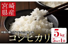 宮崎県 門川町産 コシヒカリ(5kg×1) お米 精米 白米 ごはん ご飯 こしひかり 宮崎県産 【KM-2】【神舞農園】