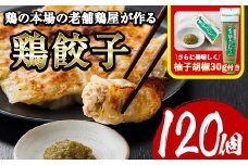 鶏の本場の老舗鶏屋が作る味鶏の餃子セット (計120個・1Pあたり12個入・柚子胡椒30g付き！) 鶏餃子 餃子 鶏肉 ぎょうざ おかず お惣菜 おつまみ 冷凍【V-72】【味鶏フーズ】
