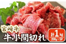 宮崎牛 小間切れ (計1kg・200g×5) 牛肉 精肉 お肉 黒毛和牛 ブランド和牛 切り落とし こま肉お取り寄せ 冷凍 国産 宮崎県 【MA-11】【株式会社マルミヤストア】