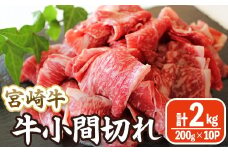 宮崎牛 小間切れ (計2kg・200g×10) 牛肉 精肉 お肉 黒毛和牛 ブランド和牛 切り落とし こま肉お取り寄せ 冷凍 国産 宮崎県 【MA-12】【株式会社マルミヤストア】