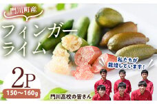 ＜数量限定・期間限定＞宮崎県門川町産フィンガーライム(150～160g) 柑橘 希少 ライム キャビアライム シトラス ミアローズ ティスティグリーン ピンクパール レッドスパークリング ダークレッド 高校生 高校【AU-2】【宮崎県立門川高等学校】