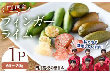 ＜数量限定・期間限定＞宮崎県門川町産フィンガーライム(65～70g) 柑橘 希少 ライム キャビアライム シトラス 高校生 門高 【AU-3】【宮崎県立門川高等学校】