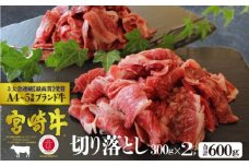 [№5738-0058]宮崎牛 切り落し 600g（300g×2）※配送不可：一部離島
