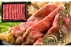 [№5738-0091]すき焼き しゃぶしゃぶ 宮崎牛 約500g ウデ 焼きしゃぶ すきやき スキヤキ 黒毛和牛 牛肉 肉 お肉