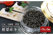 HEIKE CAVIAR 20ｇ×６個【合計120g】【世界三大珍味×日本三大秘境】［宮崎 椎葉 国産 きゃびあ キャビア チョウザメ 魚卵 卵 魚介 珍味 加工品 冷凍 高級 贅沢 お取り寄せグルメ ディナー パーティー おつまみ グルメ ギフト 記念日 誕生日 母の日 父の日 お中元 お歳暮 お祝い 贈り物 贈答 桐箱 希少］【SZ-112】