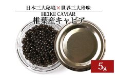 【訳あり】HEIKE CAVIAR  5ｇ 【宮崎県 椎葉村】【世界三大珍味×日本三大秘境】［宮崎 椎葉 国産 チョウザメ キャビア 5g 魚卵 卵 クリーミー お酒 魚介 珍味 加工品 冷凍 高級 高級食材 贅沢 世界三大珍味 パーティー おつまみ グルメ ギフト 記念日 誕生日 プレゼント お祝い 贈り物 贈答 贈答品 桐箱 希少］【SZ-115】