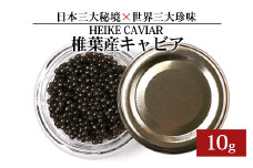 【訳あり】HEIKE CAVIAR  10ｇ 【世界三大珍味×日本三大秘境】［宮崎 椎葉 国産 ちょうざめ チョウザメ きゃびあ キャビア 10g 魚卵 卵 クリーミー お酒 魚介 珍味 加工品 冷凍 高級 贅沢 グルメ ディナー パーティー おつまみ ギフト 記念日 誕生日 プレゼント お祝い 贈り物 贈答 贈答品 桐箱 希少］【SZ-116】