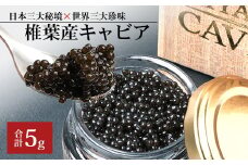 【桐箱入り】HEIKE CAVIAR  5ｇ 【世界三大珍味×日本三大秘境】［宮崎 椎葉 国産 ちょうざめ チョウザメ きゃびあ キャビア 5g 魚卵 卵 クリーミー お酒 魚介 珍味 加工品 冷凍 高級 贅沢 グルメ ディナー パーティー おつまみ ギフト 記念日 誕生日 プレゼント お祝い 贈り物 贈答 贈答品 桐箱 希少］【SZ-118】