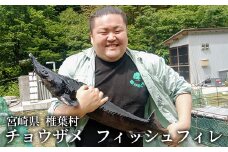 キャビアフィッシュフィレ 1尾【800g～1.2Kg】［宮崎 椎葉 国産 ちょうざめ チョウザメ きゃびあ キャビア クリーミー お酒 魚介 珍味 加工品 冷凍 高級 贅沢 食べ物 グルメ ディナー パーティー おつまみ お祝い ギフト 記念日 誕生日 プレゼント 贈り物 贈答 贈答品 父の日 母の日 お中元 お歳暮 桐箱 希少］【SZ-119】