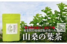 【世界農業遺産の産物】焼畑農家がつくった山桑の葉茶 スティックタイプ【桑茶】［送料無料 宮崎県 椎葉村 椎葉 日本三大秘境 秘境 焼畑 やきはた 茶 お茶 山桑の葉茶 葉茶 くわ茶 桑茶 手作り 自然 ギフト お土産］【YS-8】