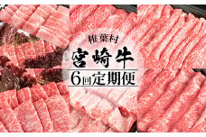 【定期便 6回】受賞歴多数!! 宮崎牛を6ヶ月で合計3.25キロ 宮崎牛づくし【送料無料 宮崎県 椎葉村 秘境 国産 宮崎県産 ブランド牛 牛肉 牛 和牛 肉 肩ロース ばら うで もも すき焼き 焼肉 焼き肉 BBQ アウトドア キャンプ 牛丼 うまい 美味しい おすすめ おかず 多用途 ギフト 贈り物 プレゼント 祝い パーティー 誕生日 記念日 お土産 敬老 お中元 お歳暮】【MT-38】