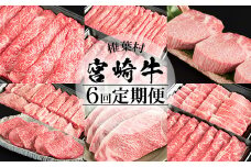 【定期便 6回】受賞歴多数!! 宮崎牛を6ヶ月で合計4.9キロ 宮崎牛づくし【送料無料 宮崎県 椎葉村 秘境 国産 宮崎県産 ブランド牛 牛肉 牛 和牛 肉 肩ロース うで ヒレ もも ばら ステーキ すき焼き しゃぶしゃぶ 焼肉 BBQ 牛丼 うまい 美味しい おすすめ おかず 多用途 ギフト 贈り物 プレゼント 祝い パーティー 誕生日 記念日 お土産 敬老 お中元 お歳暮】【MT-39】
