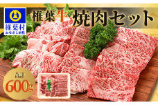 宮崎県産 椎葉牛 焼肉セット 600g A5等級指定 ［宮崎県 椎葉村 国産 国産牛 黒毛和牛 和牛 牛 牛肉 赤身 にく おにく 肉 お肉 A a5 A5 やきにく 焼肉 焼肉セット セット バーベキュー ごちそう 贈物 日本三大秘境］【TK-23】