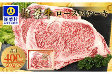 宮崎県産 椎葉牛 ロースステーキ 400g A5等級指定 お試しステーキソース付き［宮崎県 椎葉村 国産 国産牛 黒毛和牛 和牛 牛 牛肉 赤身 にく おにく 肉 お肉 a5 A5ステーキ やきにく 焼肉 バーベキュー ロース 冷凍 ごちそう 贈物 日本三大秘境］【TK-26】