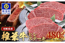 宮崎県産 椎葉牛 ヒレ肉  480g お試しステーキソース付き A5等級指定 ［宮崎県 椎葉村 国産 国産牛 黒毛和牛 和牛 牛 牛肉 赤身 にく おにく 肉 お肉 a5 A5 ヒレ ステーキ やきにく 焼肉 バーベキュー 冷凍 ごちそう 贈物 日本三大秘境］【TK-24】