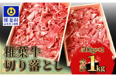 宮崎県産 椎葉牛 切り落とし 1kg 黒毛和牛 ［宮崎県 椎葉村 国産 国産牛 黒毛和牛 和牛 牛 牛肉 赤身 にく おにく 肉 お肉 すきやき すき焼き カレー 炒め物 冷凍 ごちそう 贈物 日本三大秘境］【TK-29】