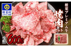 宮崎県産 椎葉プレミアム牛 焼肉セット 600g ［宮崎県 椎葉村 国産 国産牛 黒毛和牛 和牛 牛 牛肉 赤身 にく おにく 肉 お肉 a4 A4 冷凍 やきにく 焼肉 焼肉セット セット ごちそう 贈物 日本三大秘境］【TK-40】