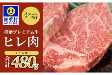 宮崎県産 椎葉プレミアム牛 ヒレ 480g お試しステーキソース付き［宮崎県 椎葉村 国産 国産牛 黒毛和牛 和牛 牛 牛肉 赤身 にく おにく 肉 お肉 a4 A4 ヒレ ステーキ やきにく 焼肉 バーベキュー 冷凍 ごちそう 贈物 日本三大秘境］【TK-44】