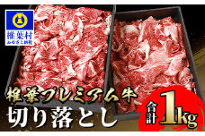 宮崎県産 椎葉プレミアム牛 切り落とし 1kg ［宮崎県 椎葉村 国産 国産牛 黒毛和牛 和牛 牛 牛肉 赤身 にく おにく 肉 お肉 a4 A4 すきやき すき焼き カレー シチュー 炒め物 焼肉 冷凍 ごちそう 贈物 日本三大秘境］【TK-49】
