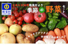 【先行受付】日本三大秘境 椎葉村産の季節野菜セット【2024年7月~8月配送】送料無料 野菜 野菜セット やさい やさいセット 高地野菜 高地栽培 ご当地 仕送り お取り寄せ 夏野菜 詰め合わせ 季節野菜 産地直送 田舎 お取り寄せ【JA-28】