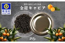 【世界三大珍味×日本三大秘境】HEIKE CAVIAR  金柑キャビア 20g 国産【産地直送】【簡易包装】［宮崎 椎葉 国産 ちょうざめ チョウザメ 金柑 きゃびあ キャビア 20g 魚卵 卵 魚介 珍味 加工品 冷凍 高級 贅沢品 パーティー おつまみ グルメ ギフト 記念日 誕生日 プレゼント お祝い 贈り物 贈答 桐箱 希少］【SZ-127】